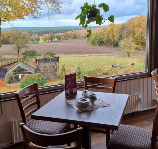 Panoramablick im Wintergarten