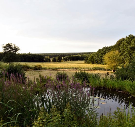 Blick nach Norden - Foto: Dieter Stier