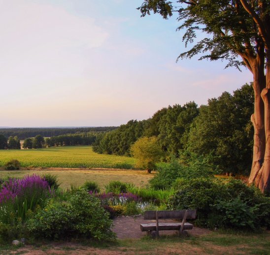 Abendstimmung - Foto: Tanja Schlawitz